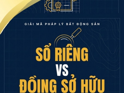 SỔ RIÊNG VS ĐỒNG SỞ HỮU: ĐÂU LÀ KHÁC BIỆT NGƯỜI MUA ĐẤT PHẢI HIỂU TRƯỚC KHI ĐẶT CỌC