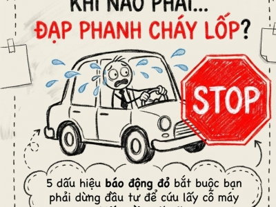 5 DẤU HIỆU PHẢI HÀNH ĐỘNG SỚM KHI NÀO NÊN DỪNG ĐẦU TƯ ĐỂ BẢO TOÀN DOANH NGHIỆP