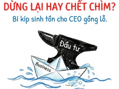 KHI NÀO NÊN DỪNG ĐẦU TƯ ĐỂ BẢO TOÀN DOANH NGHIỆP VÀ TRÁNH ĐỨT DÒNG TIỀN